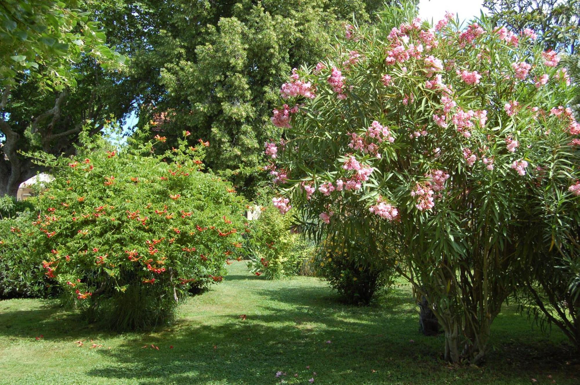 Le Mas Ferrand Bed and Breakfast Graveson Exterior foto