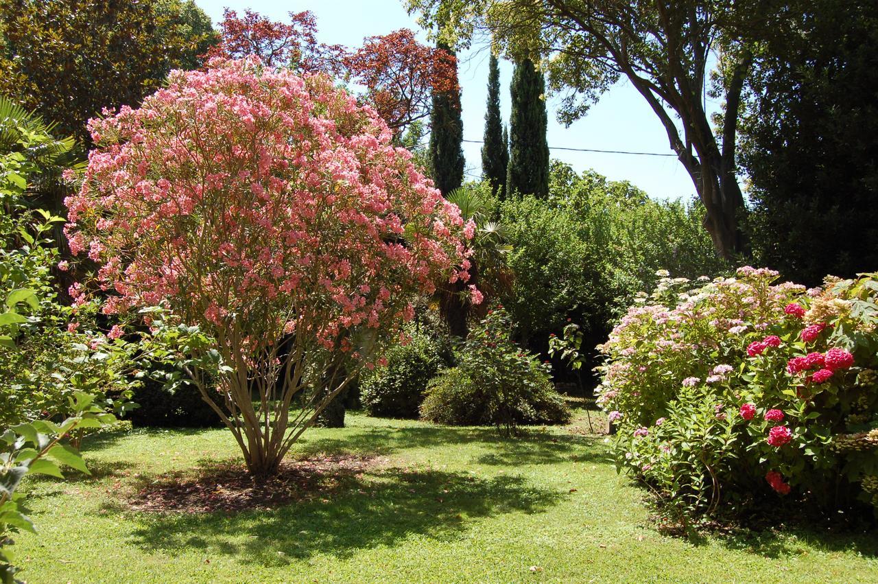 Le Mas Ferrand Bed and Breakfast Graveson Exterior foto