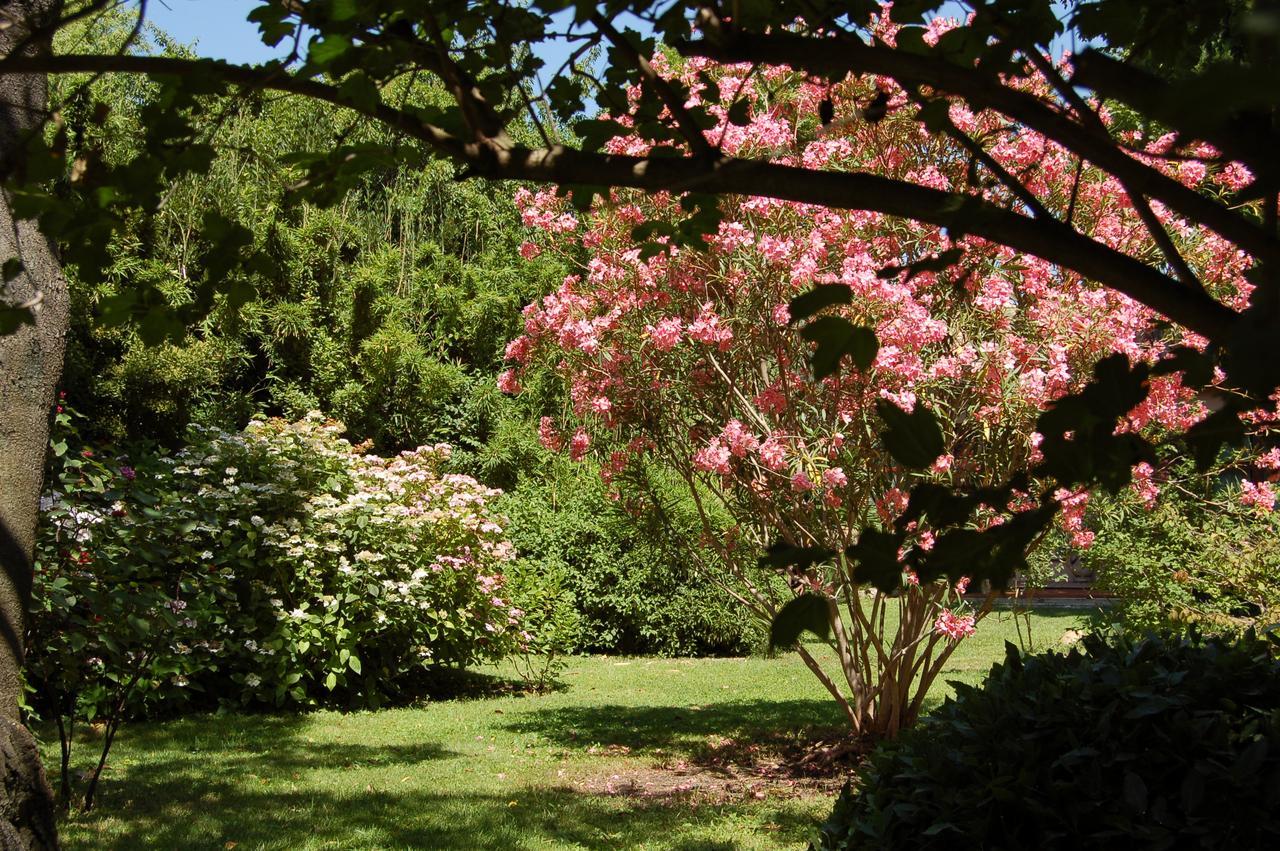 Le Mas Ferrand Bed and Breakfast Graveson Exterior foto